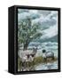 Canvas Black