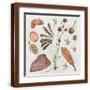 Brown Frame