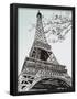 Essential Black