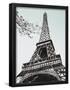 Essential Black