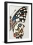 Black Frame