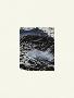 Laminate