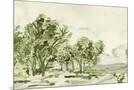 Wood Mount