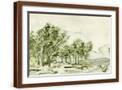 Brown Frame