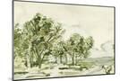 Wood Mount