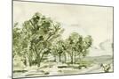 Wood Mount