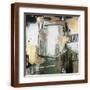 Brown Frame