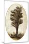 Wood Mount