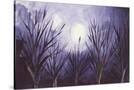 Stretched Canvas