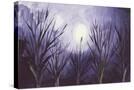 Stretched Canvas