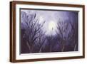 Brown Frame