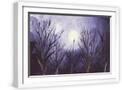 White Frame
