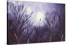 Stretched Canvas