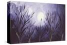 Stretched Canvas
