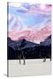 Stretched Canvas