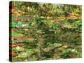 Stretched Canvas