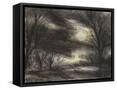 Canvas Black
