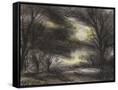 Canvas Black
