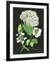 Gramercy Black
