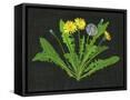 Canvas Black
