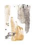 Just the Print