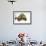 Meller's Chameleon-DLILLC-Framed Photographic Print displayed on a wall