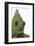 Meller'schameleon-DLILLC-Framed Photographic Print