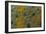 Meller'schameleon-DLILLC-Framed Photographic Print