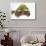 Meller'schameleon-DLILLC-Framed Photographic Print displayed on a wall