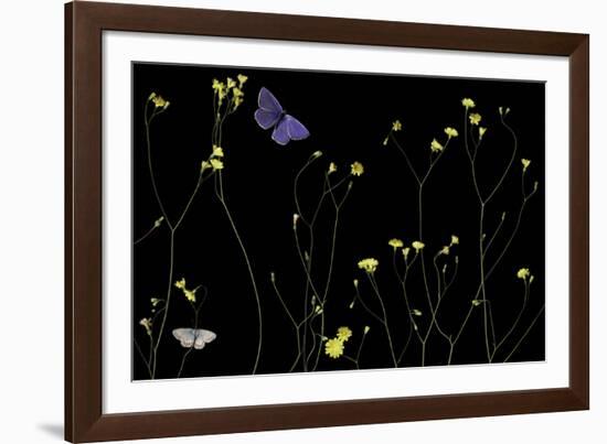 Mellow Flitter-Wild Wonders of Europe-Framed Giclee Print