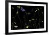 Mellow Flitter-Wild Wonders of Europe-Framed Giclee Print