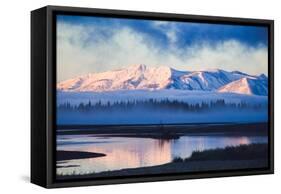 Mellow Misty Morning at Continental Divide, Yellowstone National Park, Wyoming-Vincent James-Framed Stretched Canvas