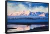 Mellow Misty Morning at Continental Divide, Yellowstone National Park, Wyoming-Vincent James-Framed Stretched Canvas