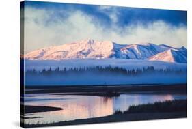 Mellow Misty Morning at Continental Divide, Yellowstone National Park, Wyoming-Vincent James-Stretched Canvas