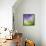 Mellow Morning-Herb Dickinson-Framed Stretched Canvas displayed on a wall