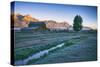 Mellow Summer Morning at Mormon Row, Grand Teton Wyoming-Vincent James-Stretched Canvas