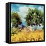 Mellow Yellow Landscape I-Alonzo Saunders-Framed Stretched Canvas