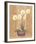 Melodic Orchid II-Urpina-Framed Art Print