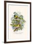 Melodius or Cuba Finch-F.w. Frohawk-Framed Art Print