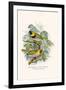 Melodius or Cuba Finch-F.w. Frohawk-Framed Art Print