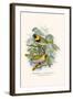 Melodius or Cuba Finch-F.w. Frohawk-Framed Art Print