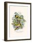 Melodius or Cuba Finch-F.w. Frohawk-Framed Art Print