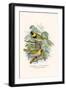 Melodius or Cuba Finch-F.w. Frohawk-Framed Art Print