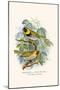 Melodius or Cuba Finch-F.w. Frohawk-Mounted Art Print