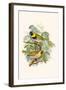 Melodius or Cuba Finch-F.w. Frohawk-Framed Art Print