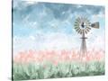 Stretched Canvas