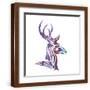 Brown Frame