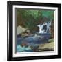 Melody of the Falls-Angela Saxon-Framed Art Print