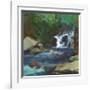 Melody of the Falls-Angela Saxon-Framed Art Print