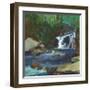 Melody of the Falls-Angela Saxon-Framed Art Print